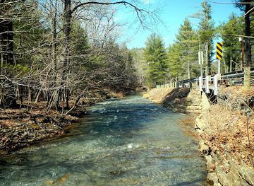 west-virginia/greenbrier-river-trail/landmark/greenbrier-state-forest
