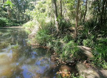 australia/sunshine-coast/landmark/aboriginal-site