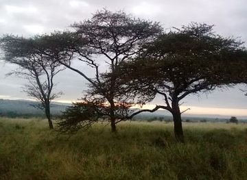 south-africa/battlefields/landmark/thanda-safari-private-game-reserve