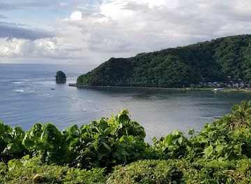 american-samoa/tutuila/landmark/blunts-point-trail