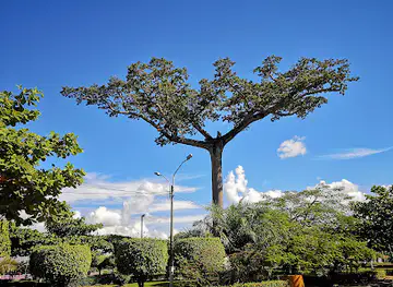 la Lupuna Park