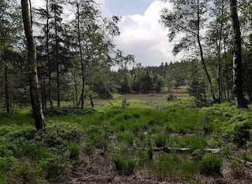 germany/ore-mountains/landmark/hormersdorfer-hochmoor