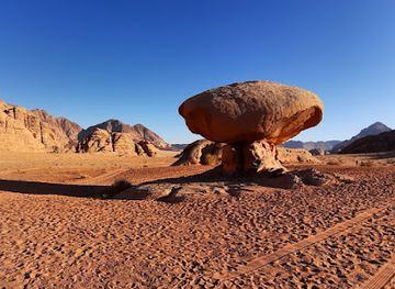 jordan/wadi-rum/landmark/wild-wadi-rum-tours