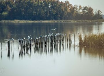 maryland/eastern-shore/landmark/blackwater-national-wildlife-refuge-visitor-center