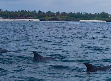 kenya/coastal-region/landmark/watamu-marine-national-park