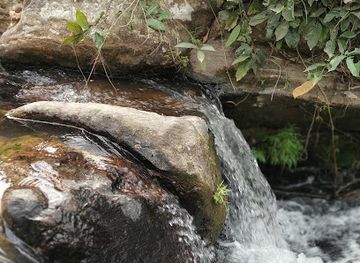 india/guwahati/landmark/kaandrang-picnic-spot