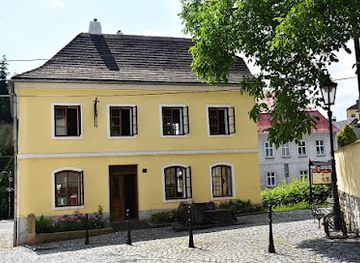 czechia/beskydy-mountains/landmark/sigmund-freud-s-birth-house