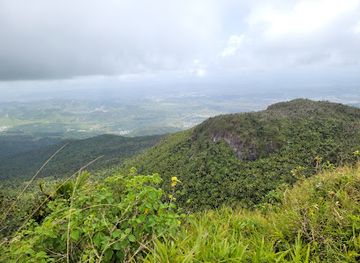puerto-rico/yunque-national-forest/landmark/el-toro-trail