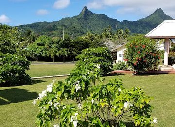 cook-islands/atiu/landmark/punanga-nui-market