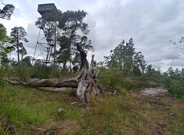 sweden/gotland/landmark/torsburgen