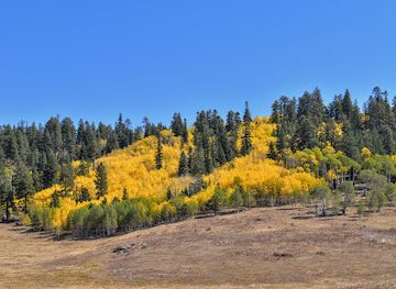 arizona/kaibab-national-forest/landmark/kaibab-plateau-hp