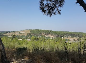 israel/shephelah/landmark/ha-mal-akhim-shkharya-forest