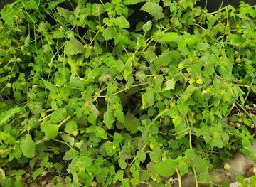 colorado/salida/landmark/guidestone-s-community-school-farm