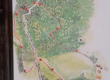 norway/norefjell/landmark/hagan-forest-and-culture-path