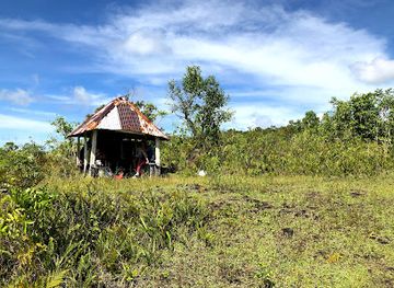 samoa/asau/landmark/mount-matavanu