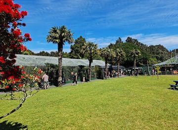 new-zealand/new-plymouth/landmark/brooklands-zoo