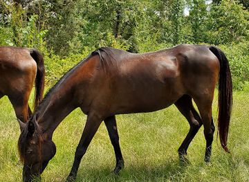 alabama/wiregrass/landmark/kenworthy-hall