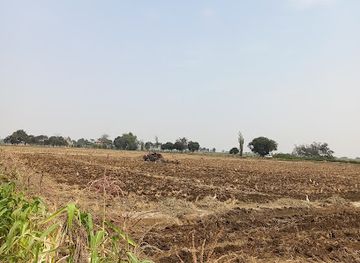 peru/chiclayo/landmark/la-huaca-y-el-huasimo