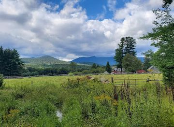 vermont/stowe/landmark/cady-hill-forest
