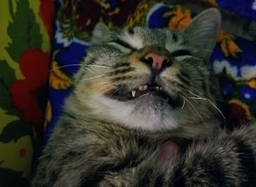 uzbekistan/qarshi/landmark/qur-qurcha