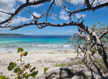 curacao/playa-grandi/landmark/playa-largu