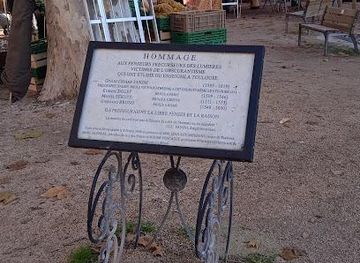 france/toulouse/landmark/pl-du-parlement