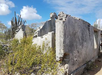 curacao/sta-catharina/landmark/christoffel-national-park