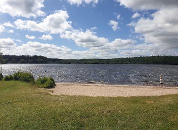 denmark/mariager-fjord/attraction/rold-forest