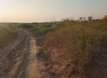 laos/mekong-river-valley/landmark/mekong-riverside-walk