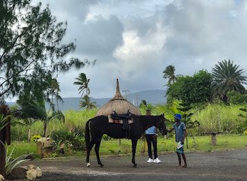 mauritius/bel-ombre/landmark/bel-ombre-horse-paradise