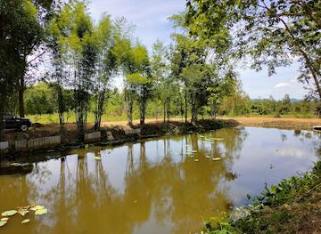 thailand/kanchanaburi/tha-maka/landmark/street-art