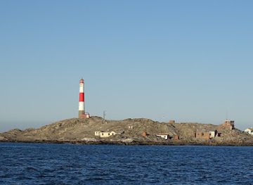namibia/luderitz/landmark/zeepaard-boat-tours
