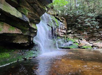 west-virginia/dolly-sods-wilderness/landmark/elakala-falls-trail