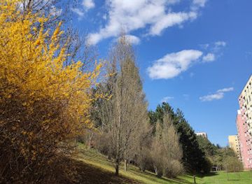 czechia/brno/brno-bystrc/landmark/kubuv-kopec