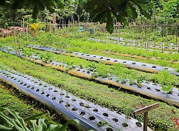 philippines/caraga/landmark/bayatakan-farm-experience