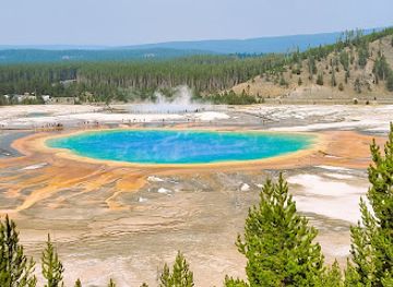 wyoming/cody/landmark/coveredground-yellowstone-tours