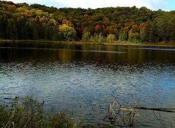 canada/haliburton-highlands/landmark/winterdance-dogsled-tours