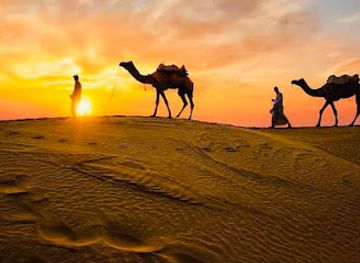 india/thar-desert/landmark/desert-national-park-guide
