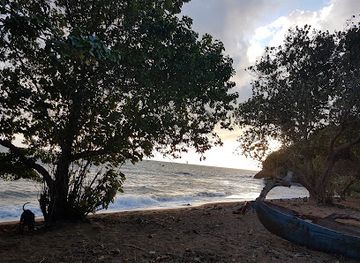 mayotte/plage-de-saziley/landmark/tsingoni-plage