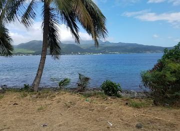 dominica/purple-turtle-beach/landmark/cabrits-national-park
