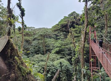 costa-rica/monteverde-cloud-forest/landmark/entrance-to-monteverde-reserve