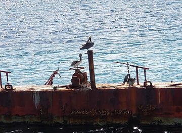 sint-maarten/belair/landmark/d-boat-sxm