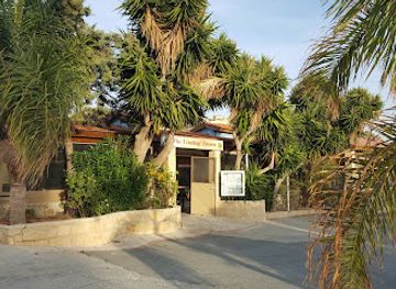 cyprus/pissouri-village/landmark/the-vineleaf-tavern