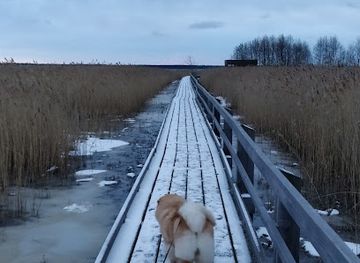 finland/satakunta/landmark/yyterin-lietteet-bird-watching-tower