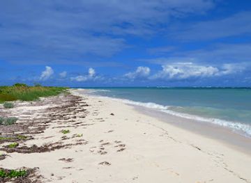 turks-and-caicos-islands/west-caicos/landmark/northwest-point-national-park