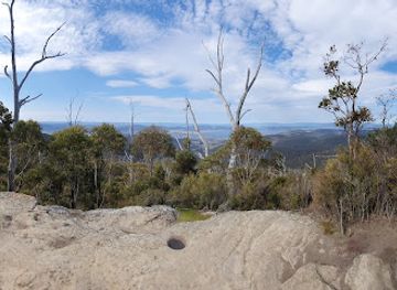 australia/mount-wellington/landmark/octopus-tree