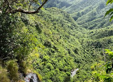 mauritius/black-river-gorges-national-park/landmark/mare-aux-joncs-waterfall