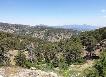 cyprus/troodos-mountains/landmark/christys-ben-nevis-cafe-restaurant