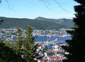 norway/bergen/landmark/norges-storste-tre