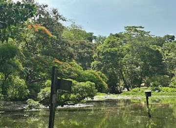 trinidad-and-tobago/edith-falls/landmark/pointe-a-pierre-wildfowl-trust